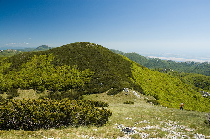np sjeverni velebit